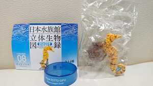 ◆即決新品「海洋堂 日本水族館立体生物図録 第1巻・⑧オオウミウマ」◆アクアトトぎふ版