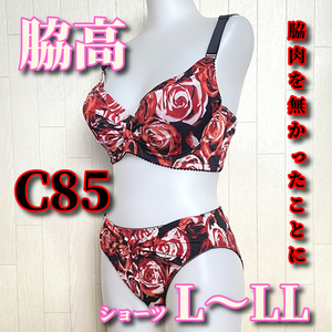 C85L-LL☆脇肉を無かったことにするブラ 薔薇柄 脇高 ホック3段3列 ブラ&ショーツ レッド系 F857