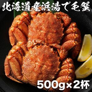 北海道産毛蟹500g×2杯 ボイル 身入りたっぷり 蟹味噌たっぷり タラバガニ ズワイガニ(2)