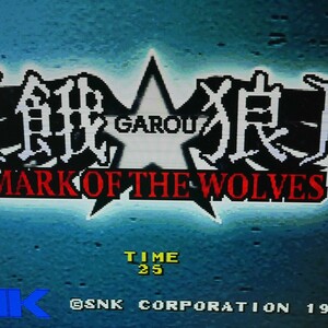 MVS　餓狼マークオブザウルヴス　SNK　NEOGEO　ROM　動作確認済み