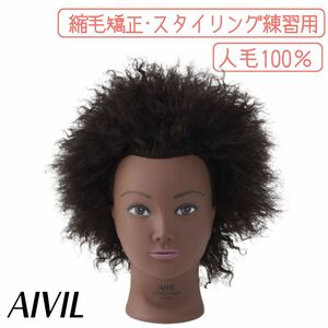 美容師 マネキン ウィッグ 縮毛矯正 ストレートアイロン 練習用 人毛100％ アフロヘアー 美容院 美容師 理容師 マネキンヘッド