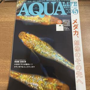 月刊アクアライフ 2022年 5 月号 メダカ、想像のその先へ/送料200円