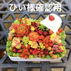 そのまま飾れる多肉植物寄せ植え　こぼれ鉢　管理書付