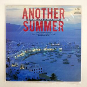 杉山清貴/ANOTHER SUMMER/VAP 3017028 LP