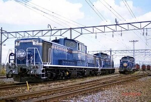 【鉄道写真】DD51 1010『日本海』 [9006616]