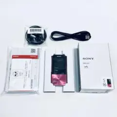 【極美品】SONY NW-S315/DI ディズニーコレクション 16GB