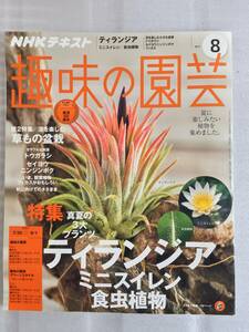 趣味の園芸　ティランジア　ミニスイレン　食虫植物　2017年　8月　草もの　盆栽