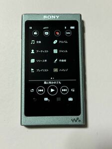 SONY WALKMAN ソニー ウォークマン NW-A45