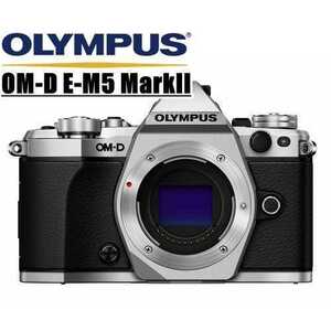 オリンパス OLYMPUS OM-D E-M5 MarkII ボディ シルバー ミラーレス 一眼レフ カメラ 中古