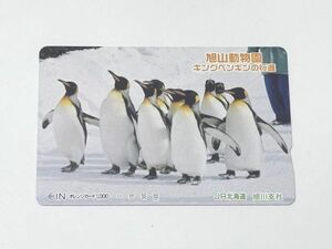 未使用 オレンジカード 旭山動物園 キングペンギンの行進 1000円券 JR北海道 旭川支社