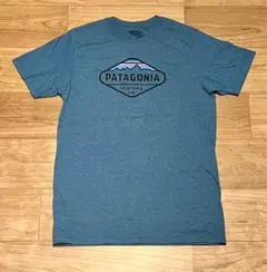 Patagonia Tシャツ ブルー