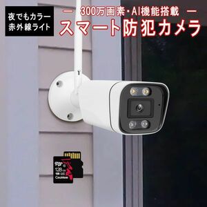 防犯カメラ 屋内外兼用 ワイヤレス CS58 SDカード128GB同梱 2K 1296p 300万画素 ONVIF wifi 録音 動体検知 PSE 6ヶ月保証「CS58/SD128.A」