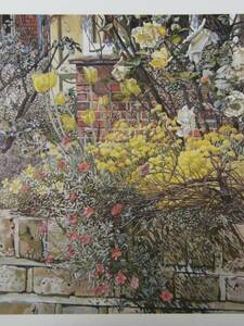 Stanley Spencer、Rock Roses, Old Lodge, Taplow、希少な額装用画集画、新品額装付、y321