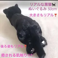 大きさもリアル♬.*゜ 黒猫 ぬいぐるみ フワモコ 癒し 抱き枕  50cm