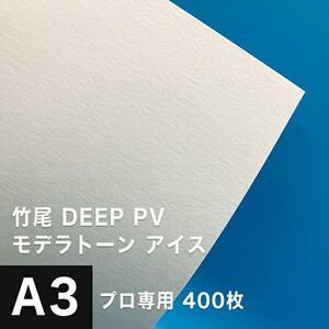 竹尾 DEEP PV モデラトーン アイス A3ノビ 329×483：400枚 竹尾 紙 絵画紙 水彩紙 印刷紙 写真印刷用紙 インクジェット用紙