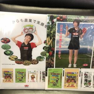 激レア★未使用★卓球 石川佳純 全農 全日本卓球 非売品 A4クリアファイル　2枚セット★