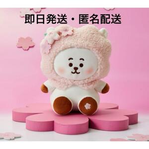 新品未開封　BTS BT21 SPRING DAYS ボムナル ぬいぐるみ RJ