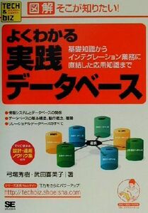 図解　そこが知りたい！よくわかる実践データベース 基礎知識からインテグレーション業務に直結した応用知識まで Ｔｅｃｈ　＆　Ｂｉｚシリ