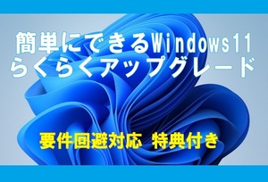 簡単にできる Windows11 らくらくア ッ プ グ レ ー ド ※２枚組 特典付き!