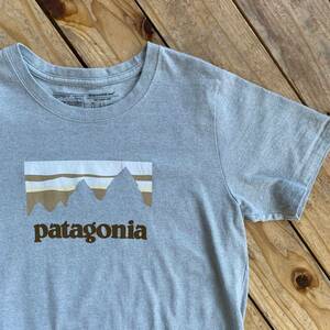 USA古着 美品 patagonia パタゴニア tシャツ 半袖 メンズ Mサイズ ライトグリーン 前面プリント Responsibili tee アウトドア T1853