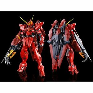 プレミアムバンダイ 限定 ＭＧ 1/100 テスタメントガンダム 未組立 新品