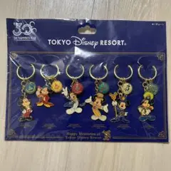 ディズニー　キーチェーン　Disney