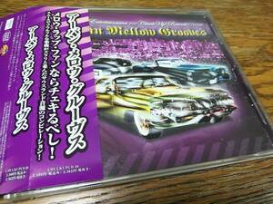 ★廃盤 V.A. URBAN MELLOW GROOVE (MELLOW HIP HOP) 帯付国内盤　DTTX, LIL BLACKY, MISTER D, SOUTHLAND GANGSTARS... 