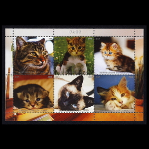 ■コンゴ切手　2015年　猫 / ネコ　6種シート
