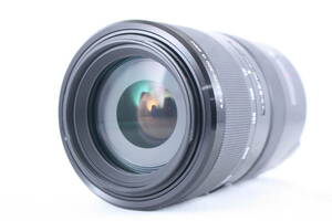 ★極美品★ソニー SONY 70-300mm F4.5-5.6 G SSM ★動作OK★#M095