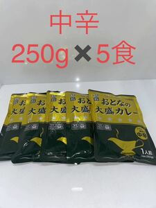 レストラン仕様　おとなの大盛りカレー　250g　5食セット (中辛)