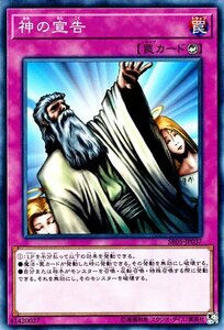遊戯王カード 神の宣告 ノーマル ストラクチャーデッキR 神光の波動 SR05
