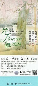 5/6迄 山種美術館 「花・flower・華2024」招待券 ネコポス216円発送可@UENO