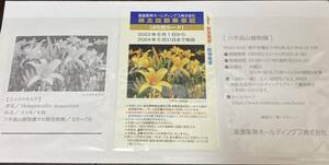 阪急阪神 株主回数乗車証 ２５回カード (送料無料)