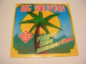 ●Reggae 12inch●BIG MOUNTAIN / REGGAE INNA SUMMERTIME