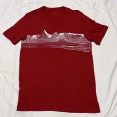 ICEBREKER　メリノウール Tシャツ　(Mサイズ)