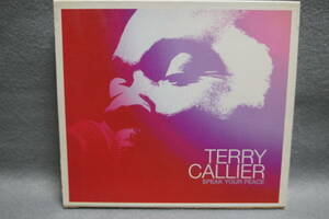 【中古CD】 テリー・キャリアー / TERRY CALLIER / SPEAK YOUR PEACE