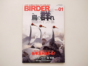 20B◆　BIRDER (バーダー) 2010年 01月号 《特集》 鳥の群れ観察ポイント集