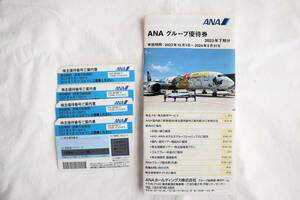 ANA 株主優待券　使用期限　2024年5月末まで使用可能　ANAグループ優待券おまけ