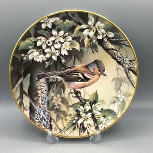 英国 ウェッジウッド ズアオアトリ 鳥 皿 飾り皿 絵皿 (762)