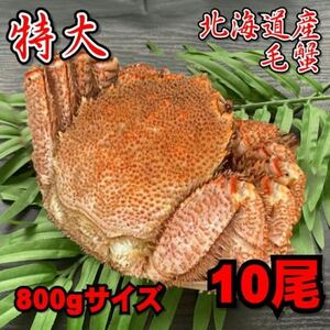 【訳あり】特大　毛がに　10尾（約800ｇサイズ）　北海道産　堅蟹　毛蟹　けがに　ケガニ　かに　ボイル　母の日　父の日　お歳暮　年末