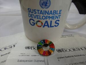  SDGs ピンバッジ 1個(990円税込）（国連ブックショップ購入・送料無料）（新品未使用）（保存袋1枚付）(ラバークラスプ付き素材)UN11