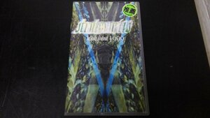 美品 VHS STRATOVARIUS ストラトヴァリウス HELSINKI,FINLAND 1999 総尺58分