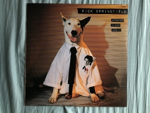 美盤 リック・スプリングフィールド Rick Springfield 1981年 LPレコード ジェシーズ・ガール Working Class Dog 国内盤 Pop rock