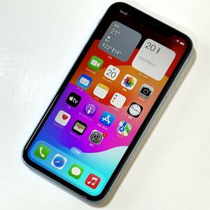 SIMフリー iPhone XR ブルー 128GB MT0U2J/A バッテリー最大容量81% アクティベーションロック解除済