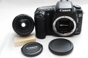 Canon EOS 20D/EF 35-80mm USM 01-02-12