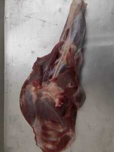 猪肉　うで肉　728g 骨付き ジビエ　5