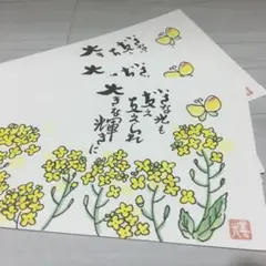 絵ハガキ　菜の花　5枚