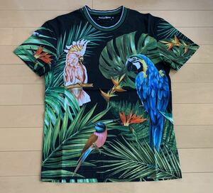 ドルチェ&ガッバーナ DG 総柄 極楽鳥花 デザイン クルーネック Tシャツ 綺麗