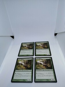 MTG 【JP】《大蛇の葉詠み/Orochi Leafcaller》[CHK] 緑C　４枚セット
