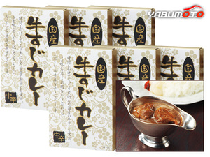 国産牛すじカレー中辛 6食 国産牛すじカレー中辛180g×6 レトルト KGS-30 内祝い お祝い 返礼品 贈答 進物 ギフトプレゼント 税率8％